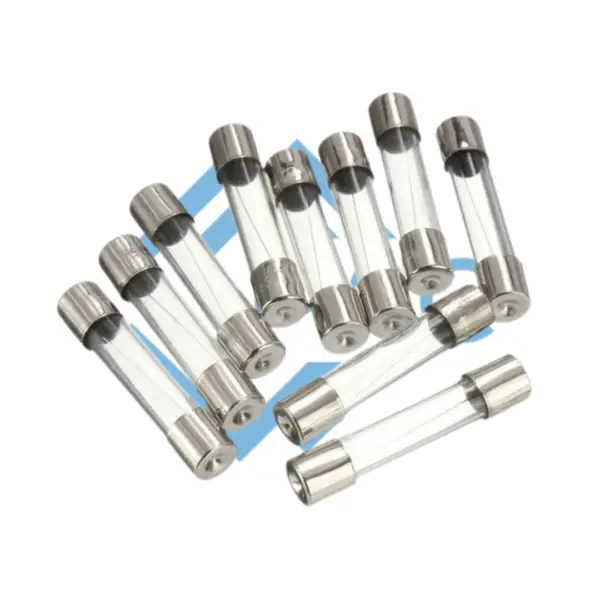 1 FUSE GLASS TYPE